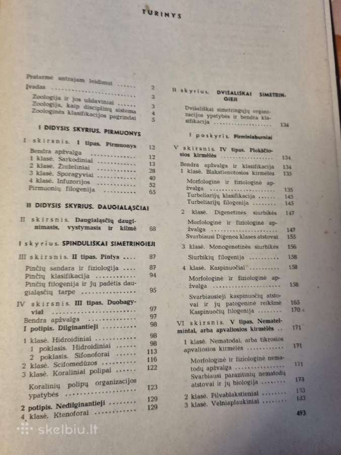 Bestuburių zoologija - nuotraukos Nr. 7
