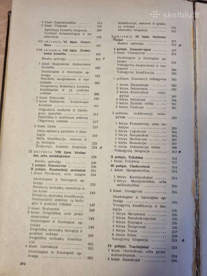 Bestuburių zoologija - nuotraukos Nr. 8