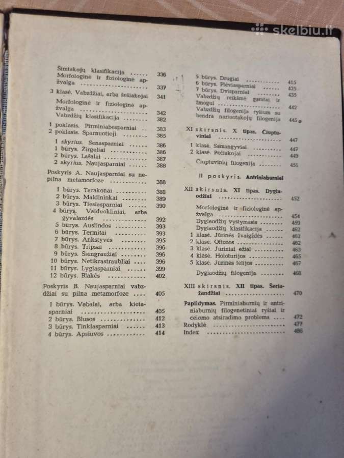 Bestuburių zoologija - nuotraukos Nr. 9