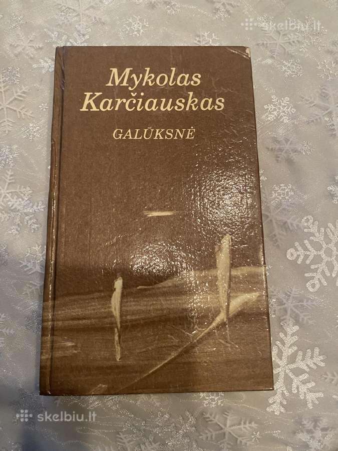 Daug knygų puikiame stovyje - nuotraukos Nr. 13