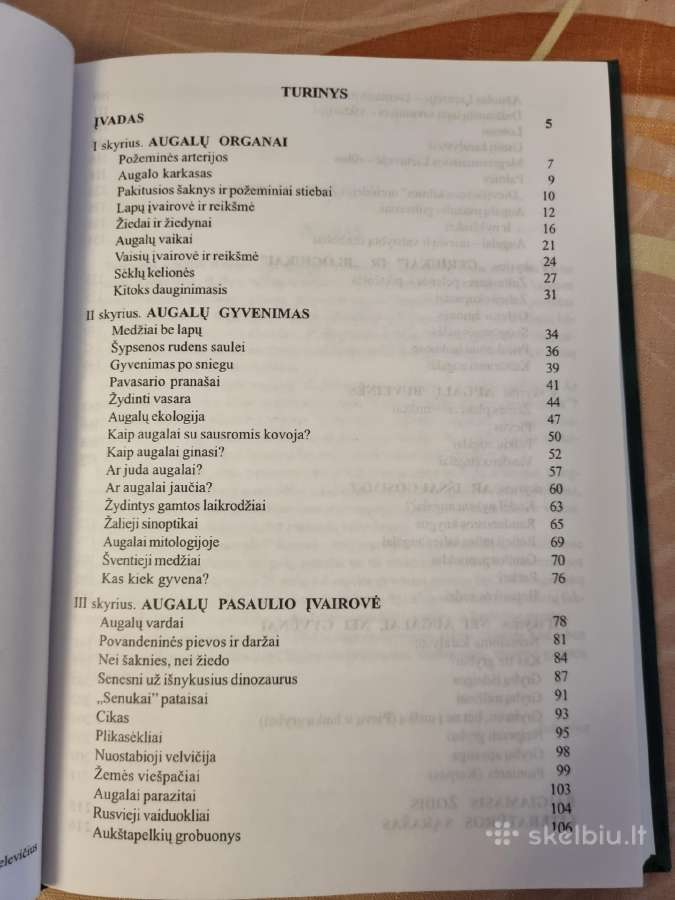 Nuostabus augalų pasaulis - nuotraukos Nr. 3