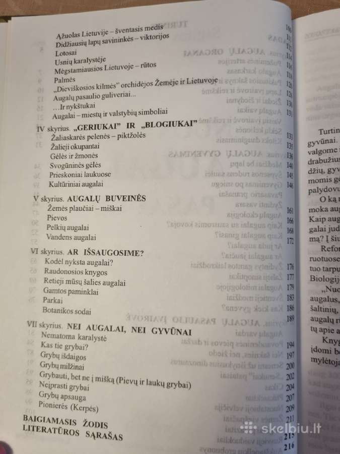 Nuostabus augalų pasaulis - nuotraukos Nr. 4