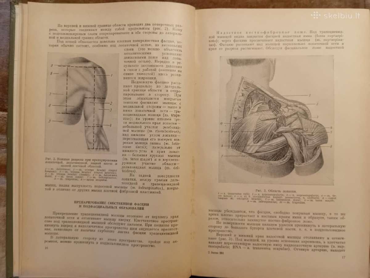Topografinės Anatomijos praktinis vadovas 1967 - nuotraukos Nr. 3