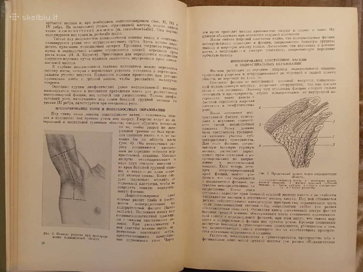 Topografinės Anatomijos praktinis vadovas 1967 - nuotraukos Nr. 4