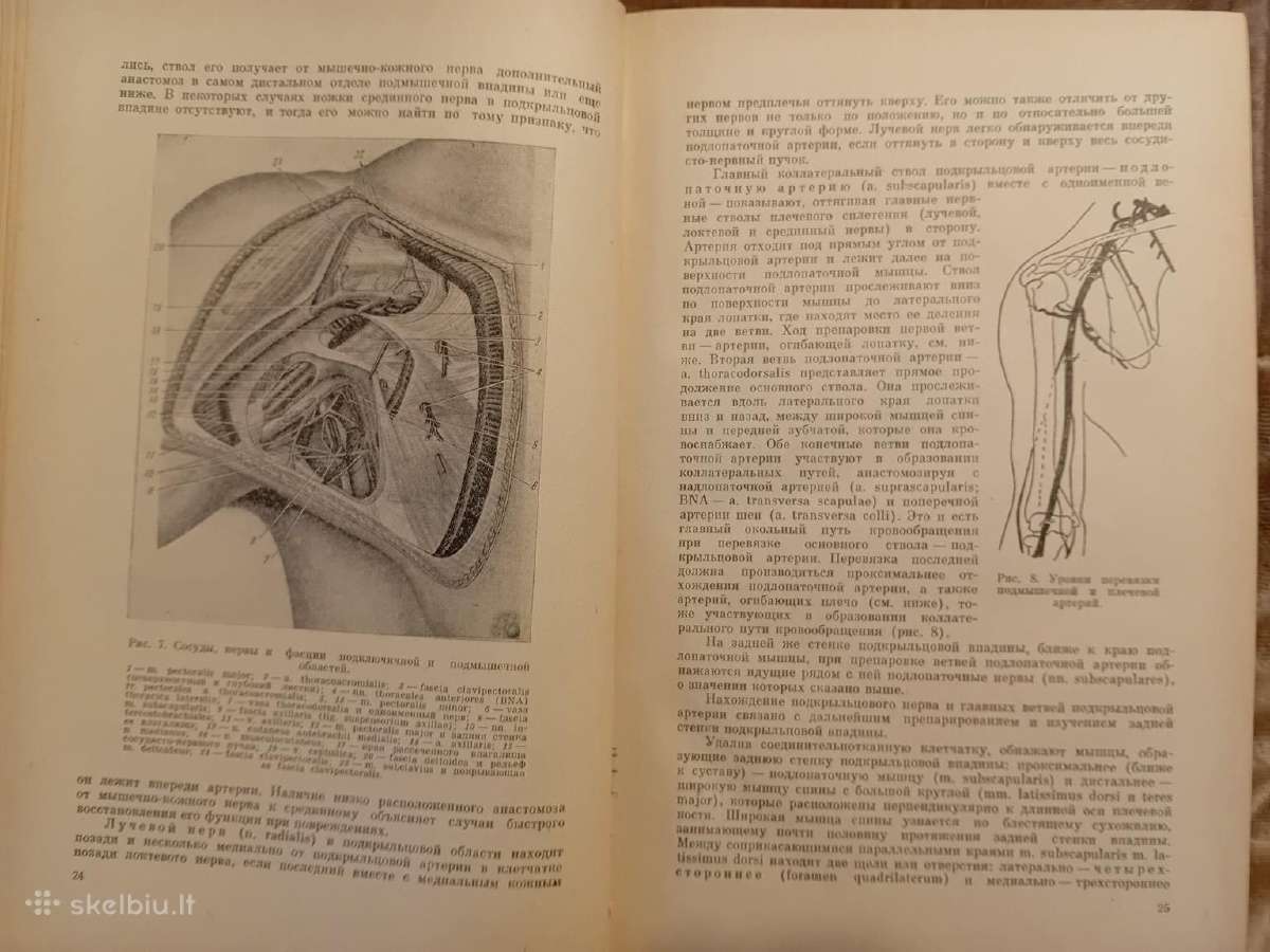Topografinės Anatomijos praktinis vadovas 1967 - nuotraukos Nr. 5