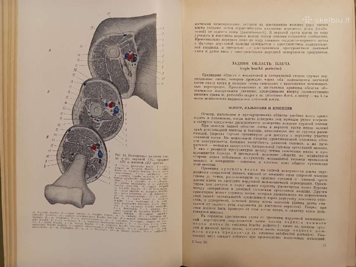 Topografinės Anatomijos praktinis vadovas 1967 - nuotraukos Nr. 7