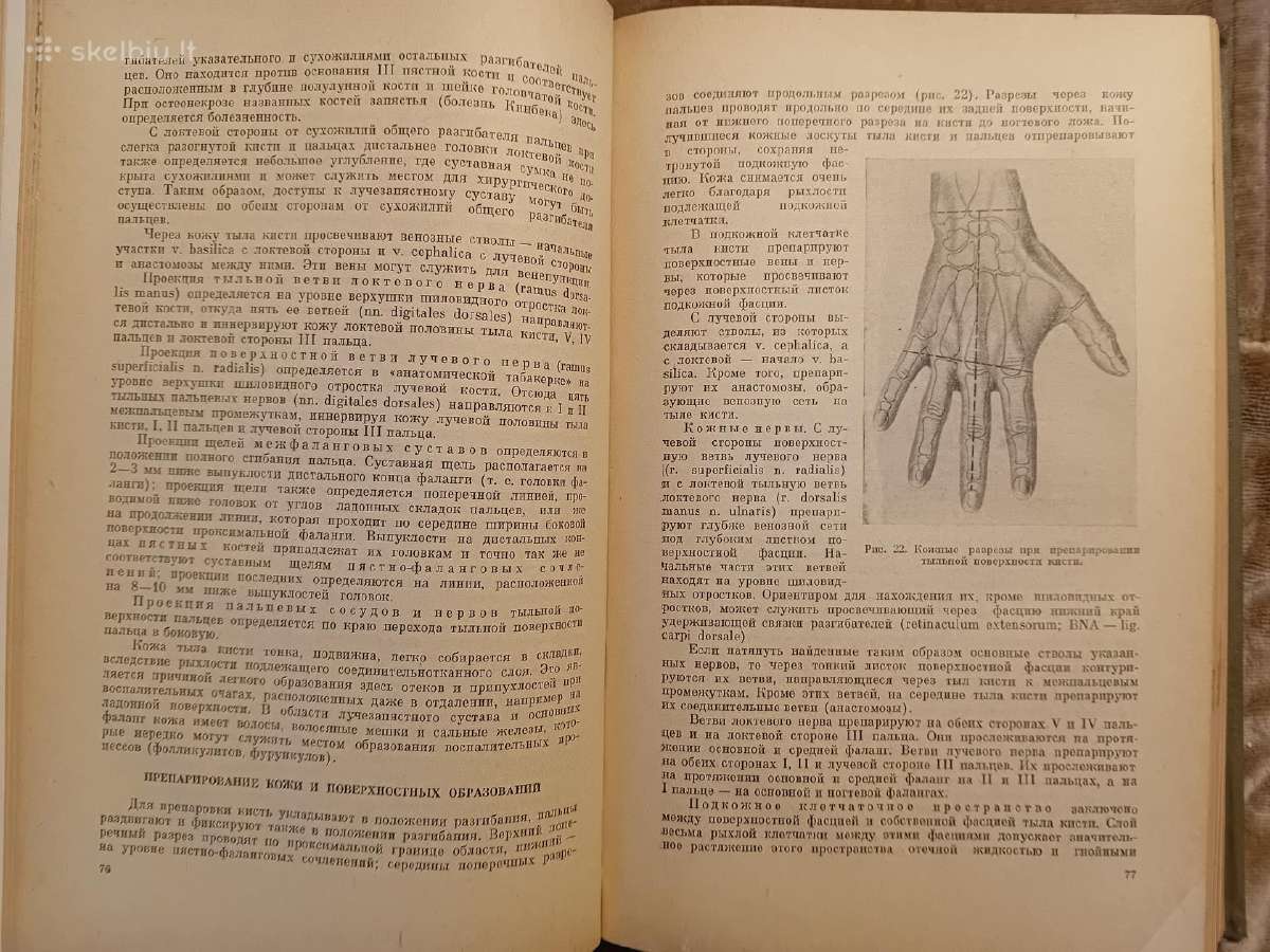 Topografinės Anatomijos praktinis vadovas 1967 - nuotraukos Nr. 9