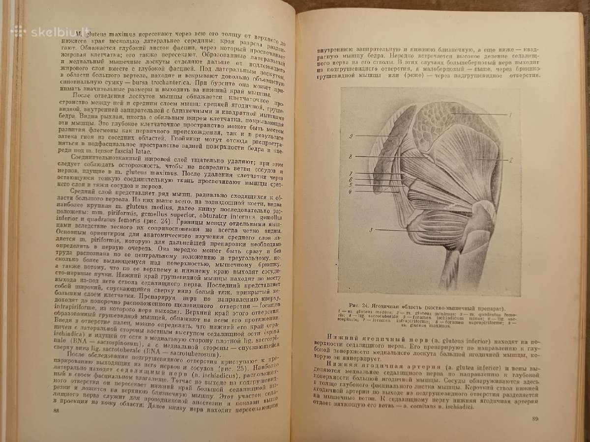 Topografinės Anatomijos praktinis vadovas 1967 - nuotraukos Nr. 10
