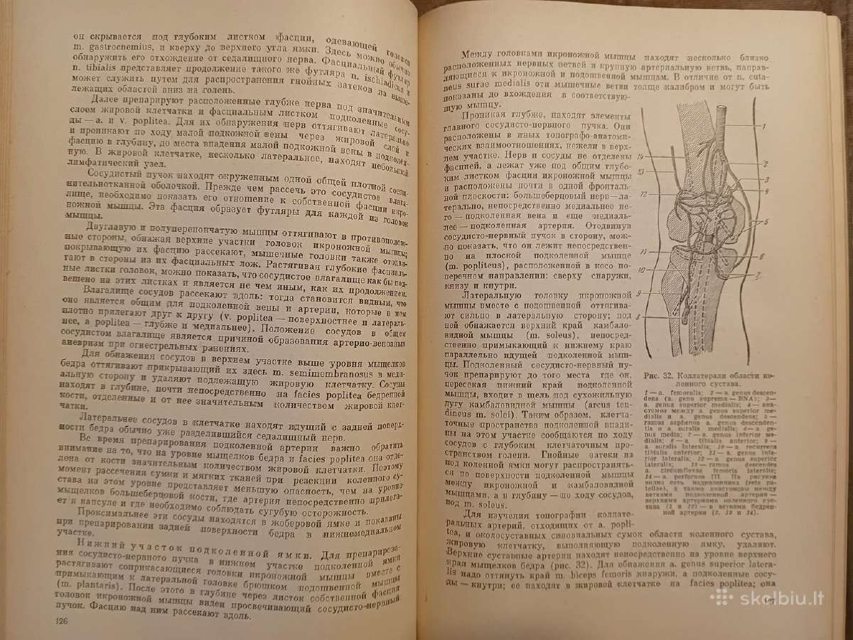 Topografinės Anatomijos praktinis vadovas 1967 - nuotraukos Nr. 11