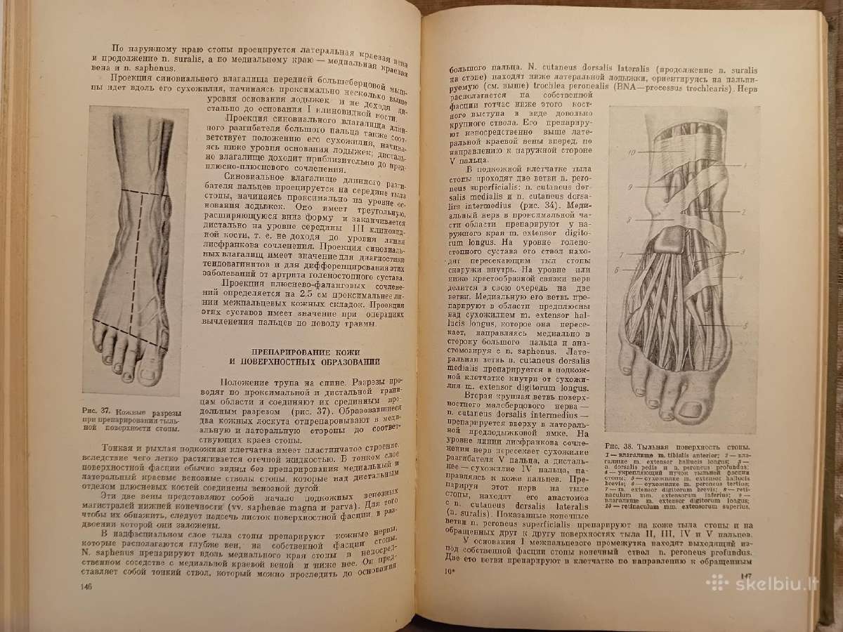 Topografinės Anatomijos praktinis vadovas 1967 - nuotraukos Nr. 12