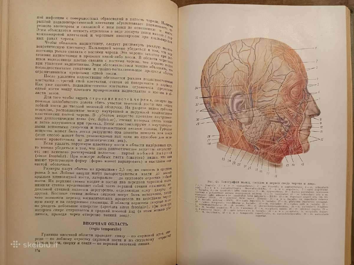 Topografinės Anatomijos praktinis vadovas 1967 - nuotraukos Nr. 14