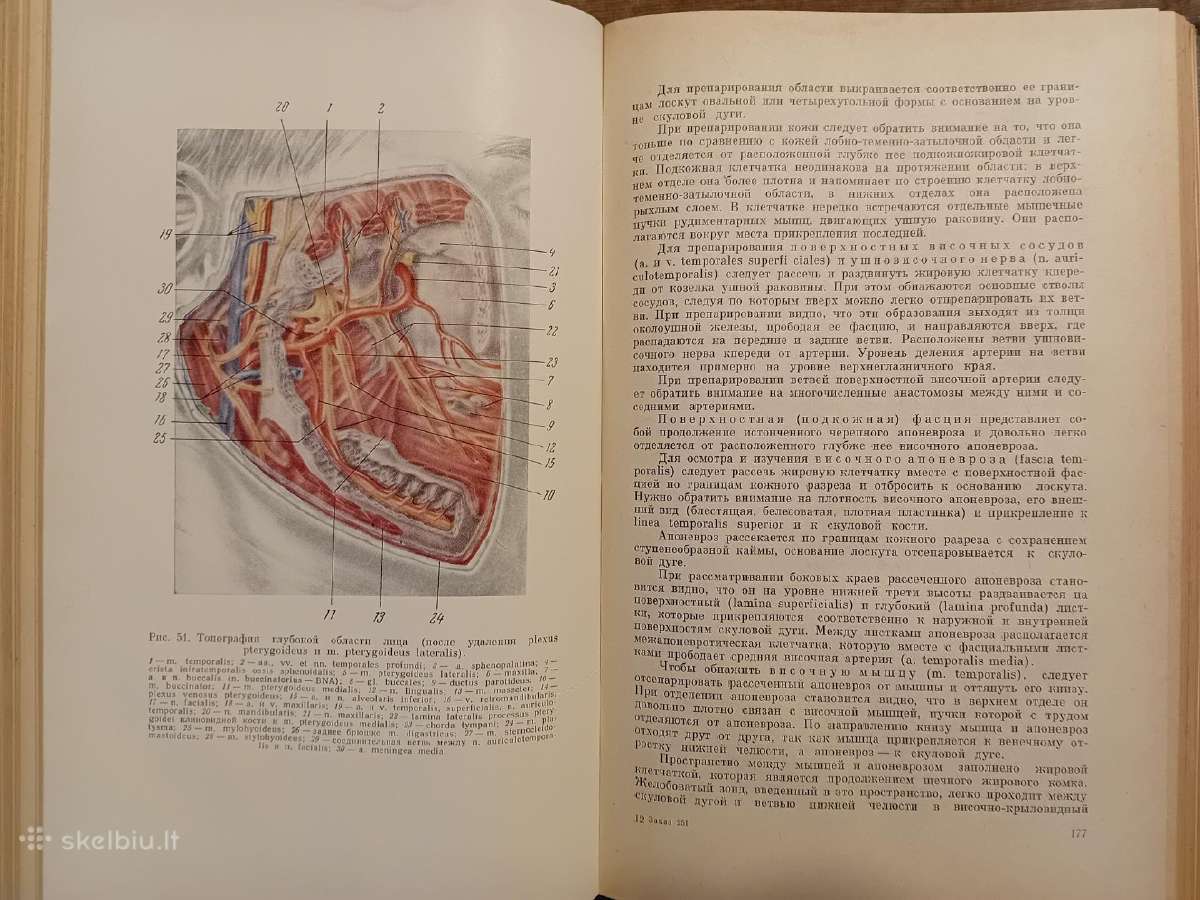 Topografinės Anatomijos praktinis vadovas 1967 - nuotraukos Nr. 15