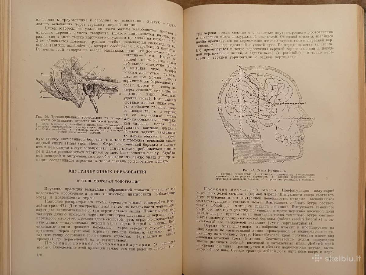 Topografinės Anatomijos praktinis vadovas 1967 - nuotraukos Nr. 16