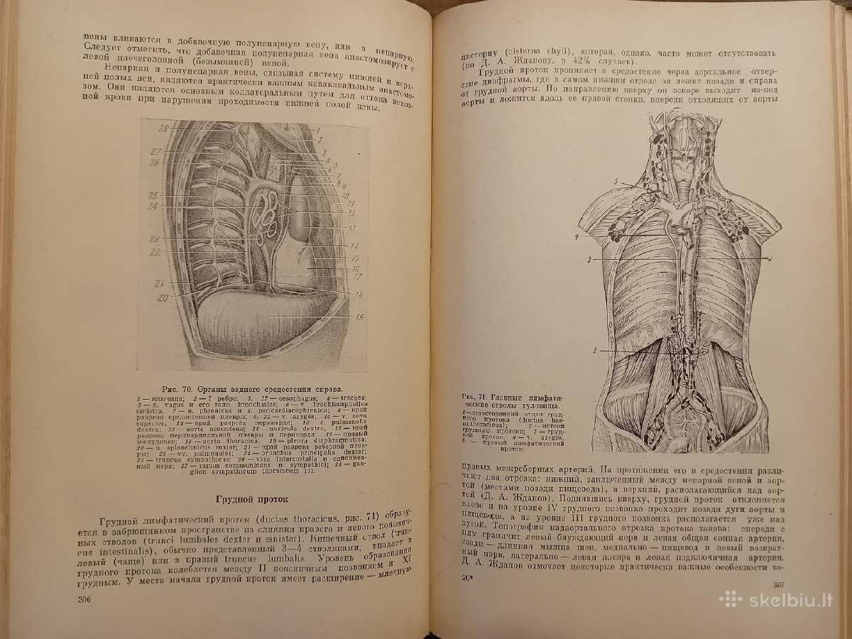 Topografinės Anatomijos praktinis vadovas 1967 - nuotraukos Nr. 17