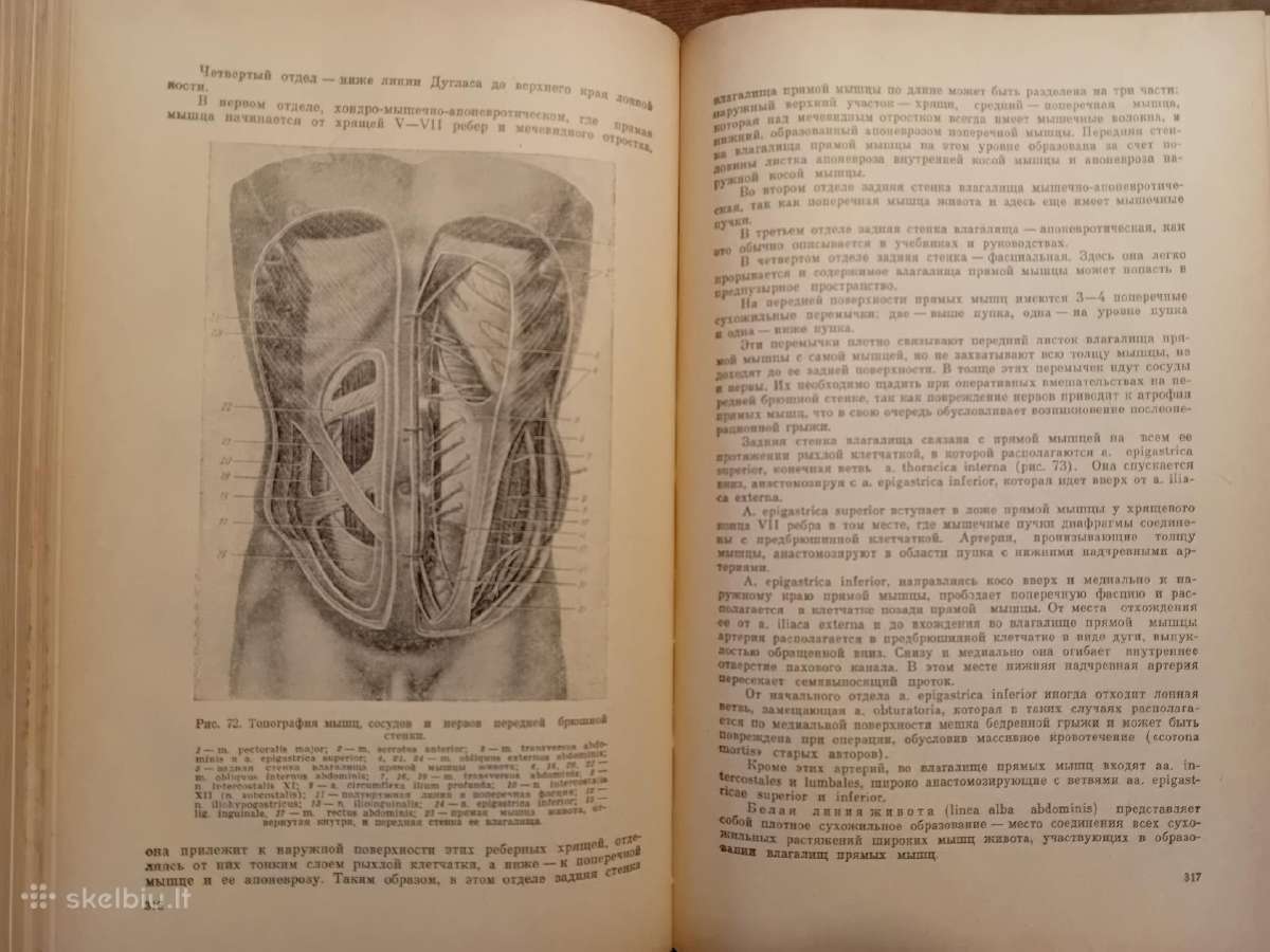 Topografinės Anatomijos praktinis vadovas 1967 - nuotraukos Nr. 18