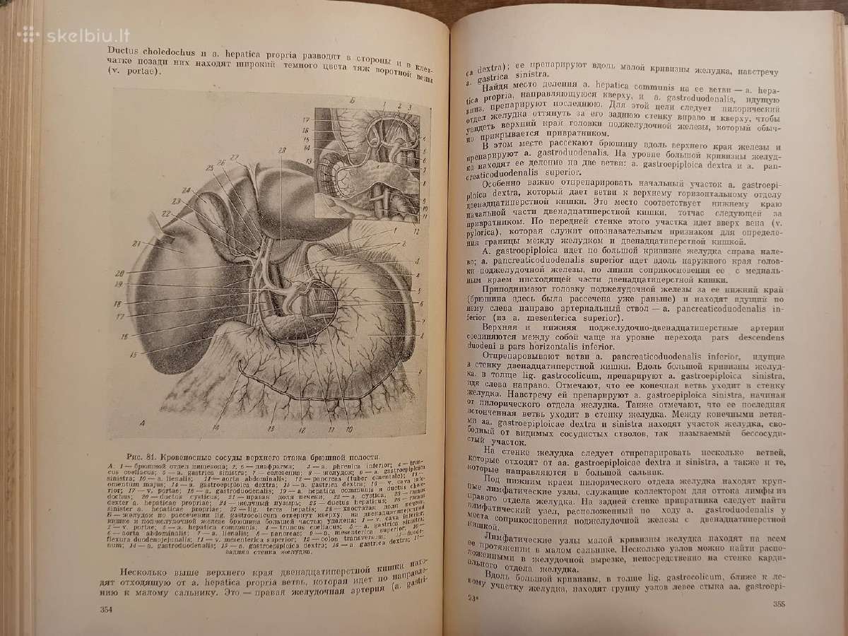 Topografinės Anatomijos praktinis vadovas 1967 - nuotraukos Nr. 20