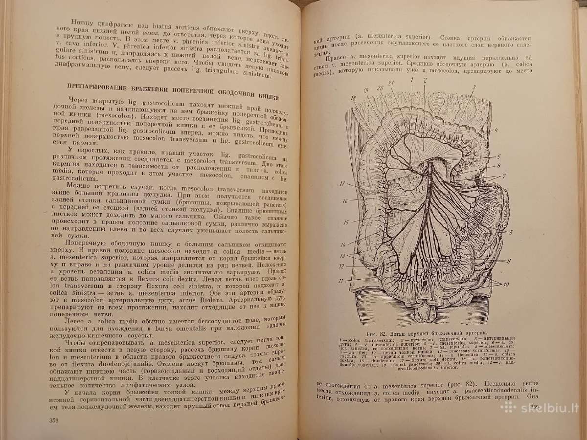 Topografinės Anatomijos praktinis vadovas 1967 - nuotraukos Nr. 21