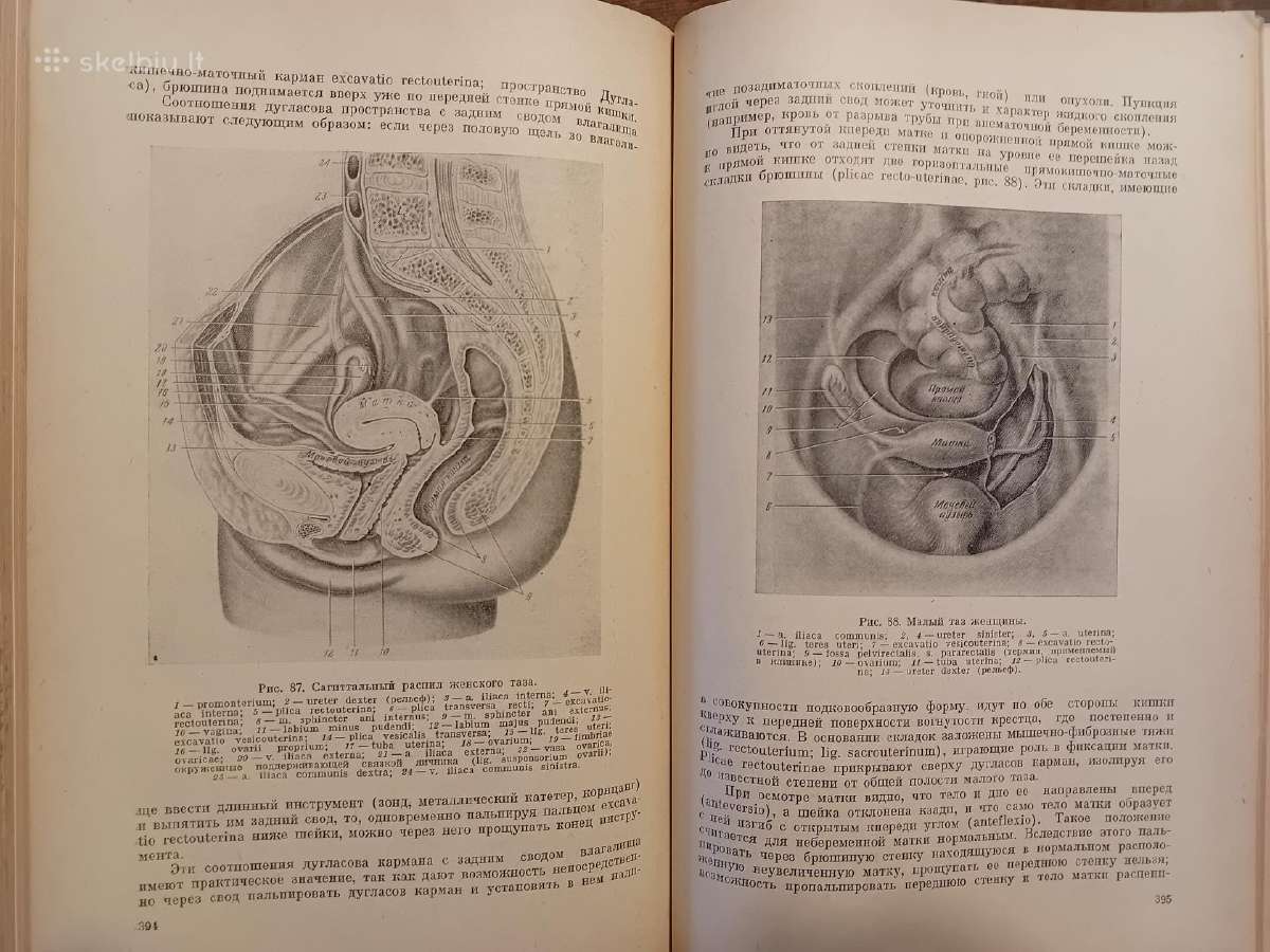Topografinės Anatomijos praktinis vadovas 1967 - nuotraukos Nr. 22