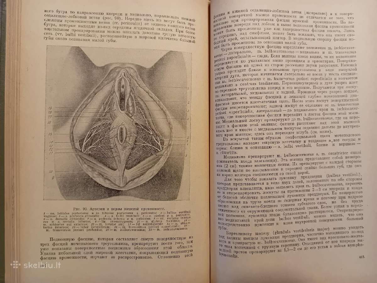 Topografinės Anatomijos praktinis vadovas 1967 - nuotraukos Nr. 23