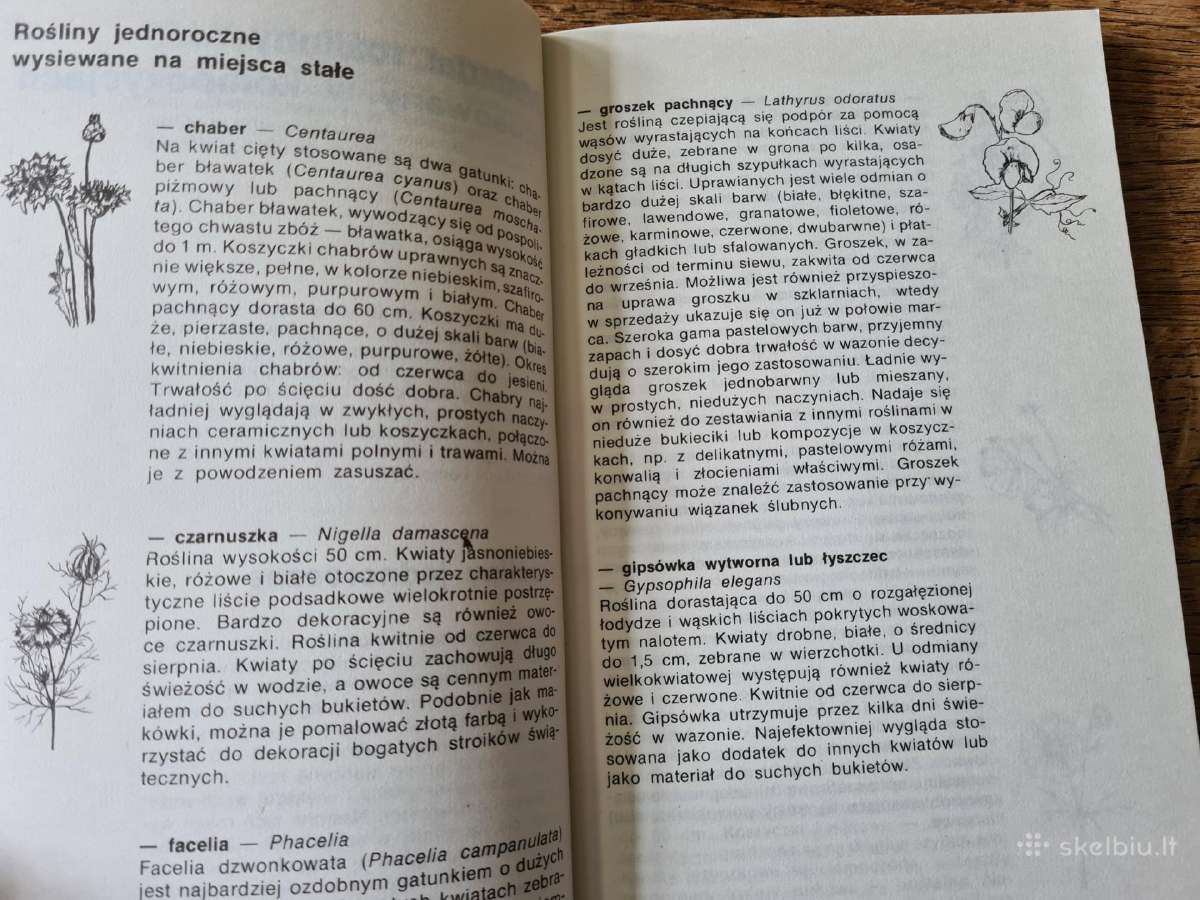 Kompozycje roślinne (sokołowska Agnieszka) - nuotraukos Nr. 9