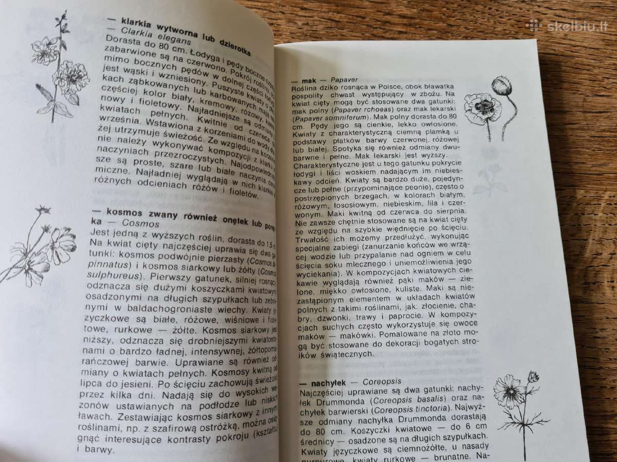Kompozycje roślinne (sokołowska Agnieszka) - nuotraukos Nr. 11