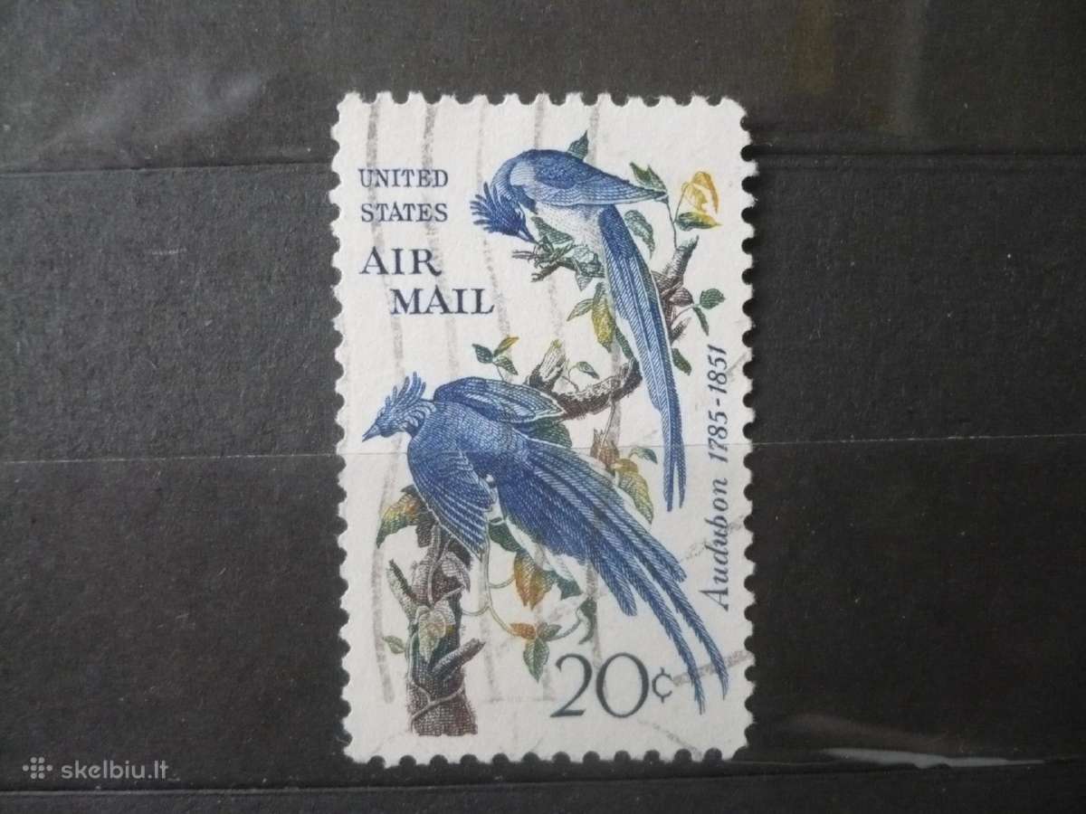 1967 Juodagerklė šarka (Calocitta colliei), Audubo