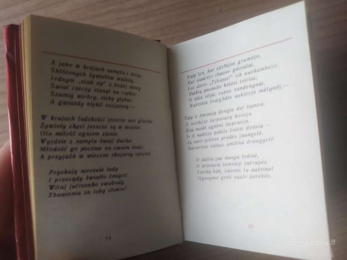 Adomas Mickevičius "Poezija" - nuotraukos Nr. 6