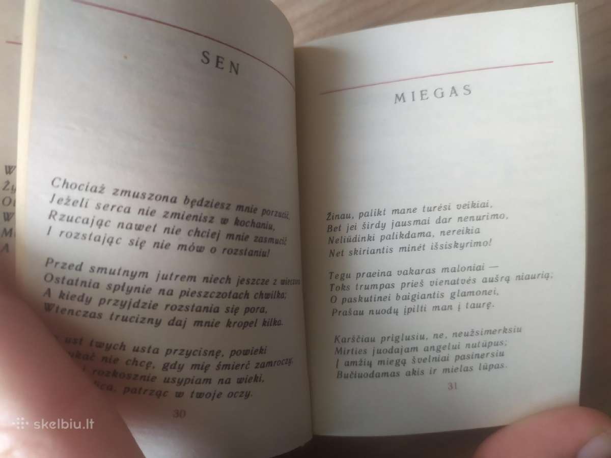 Adomas Mickevičius "Poezija" - nuotraukos Nr. 7