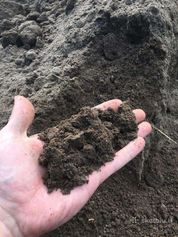 Juodžemis vejai ir augalamas Klaipėda - nuotraukos Nr. 2