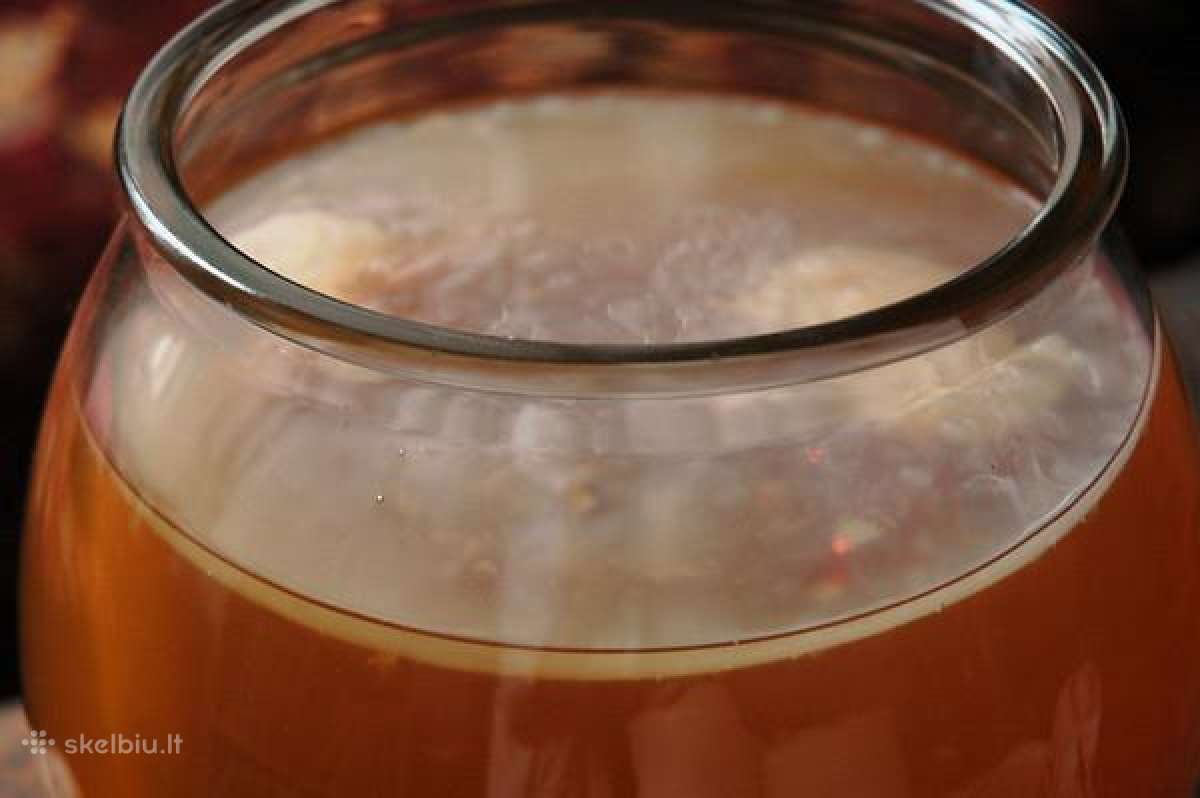 Arbatos grybas – Kombucha.