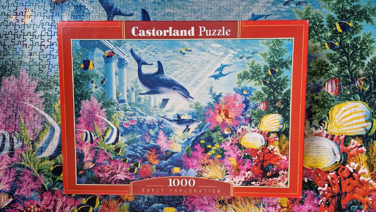 Puzzle 1000 detalių