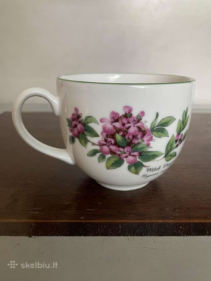 Puodelis Royal Worcester su lėkštute - nuotraukos Nr. 5