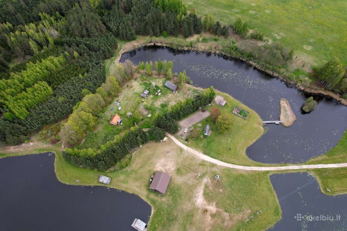 Parduodama 100 ha. sodyba Kurtuvėnų reg. parke. - nuotraukos Nr. 5