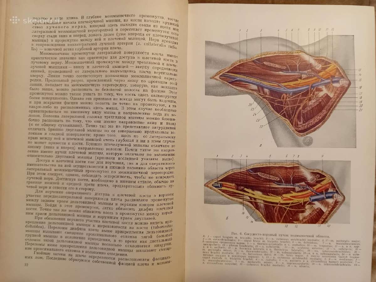 Topografinės anatomijos praktinis vadovas 1967 m. - nuotraukos Nr. 6