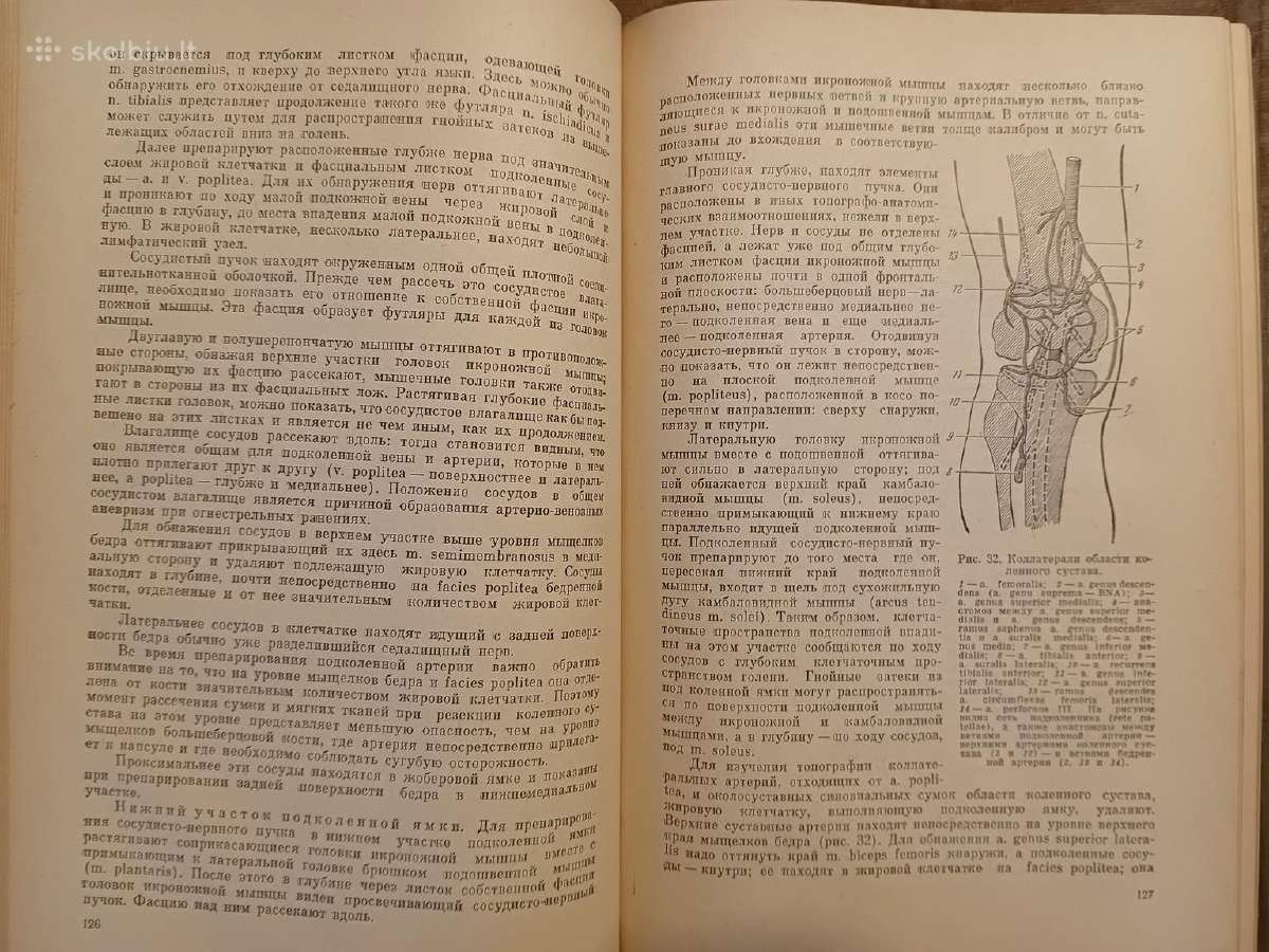 Topografinės anatomijos praktinis vadovas 1967 m. - nuotraukos Nr. 11