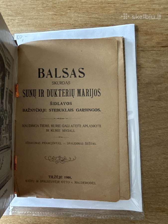 Balsas skurdas sunų ir dukterių Marijos 1908 m.