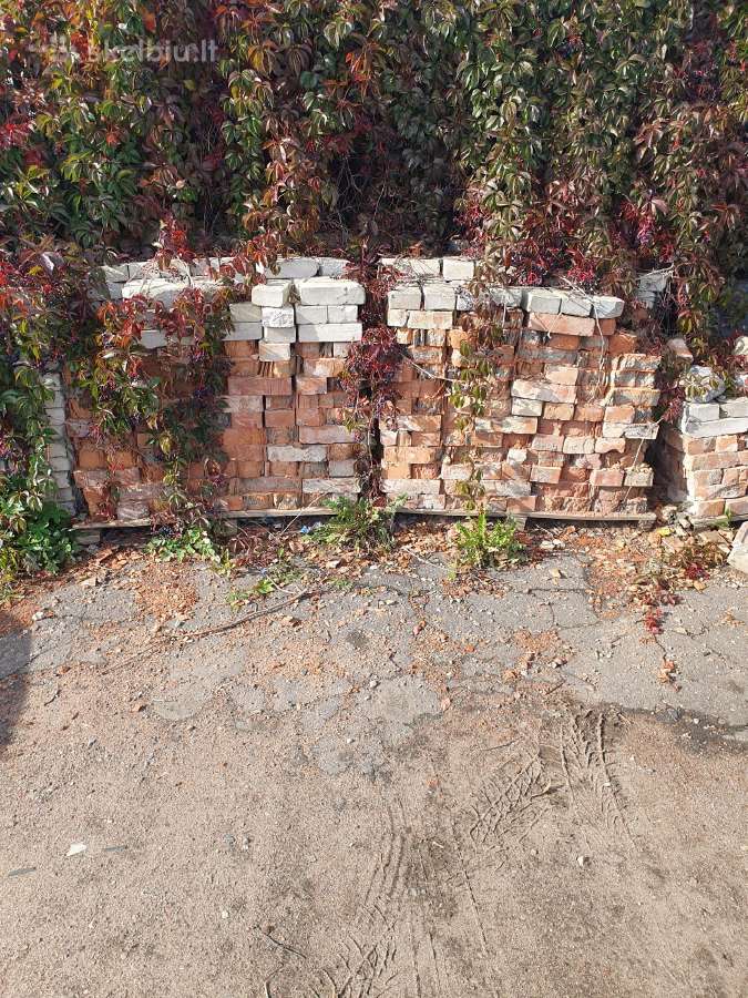 Plytos dovanoju