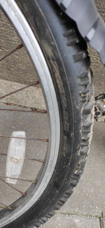 Vaikiškas kalnų dviratis X Rated 26 colių ratai