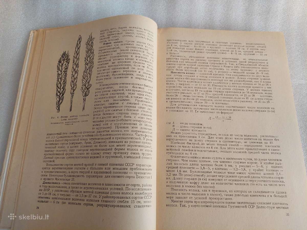 Руководство по апробации - nuotraukos Nr. 4