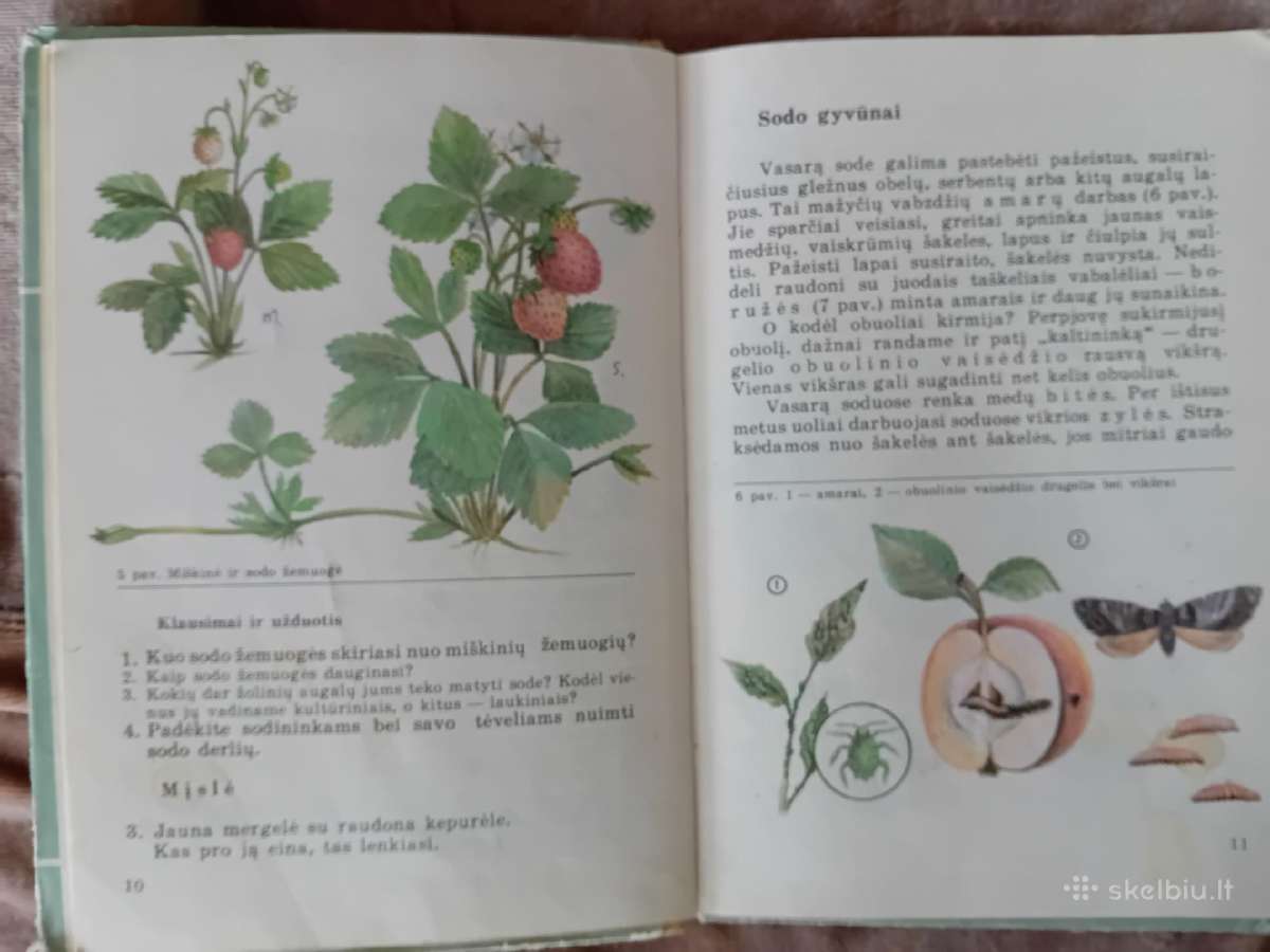 Gamtos pažinimas. Vadovėlis 3 klasei - nuotraukos Nr. 3