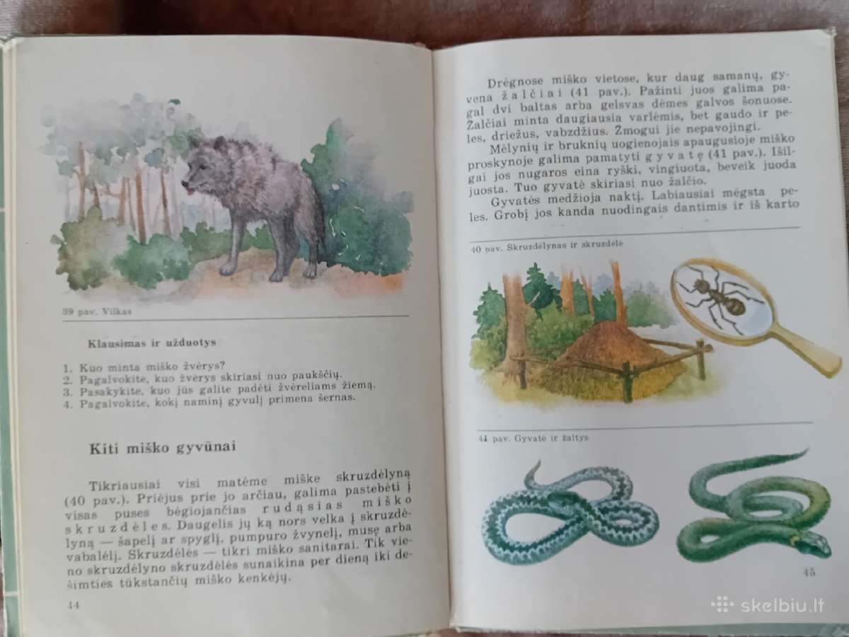 Gamtos pažinimas. Vadovėlis 3 klasei - nuotraukos Nr. 4