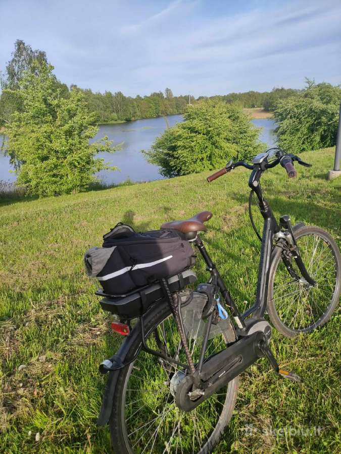 Elektrinis dviratis Batavus - nuotraukos Nr. 4