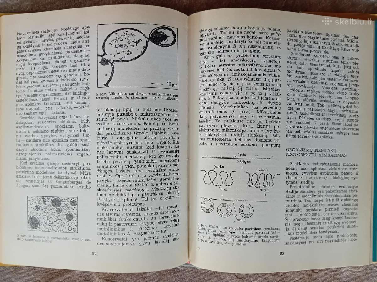 Žemė ir kosmosas - nuotraukos Nr. 10