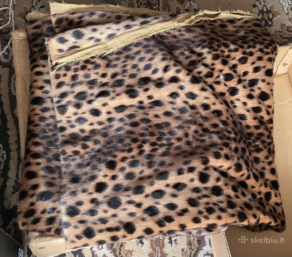 Audinis (leopardas)