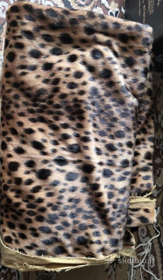 Audinis (leopardas) - nuotraukos Nr. 2
