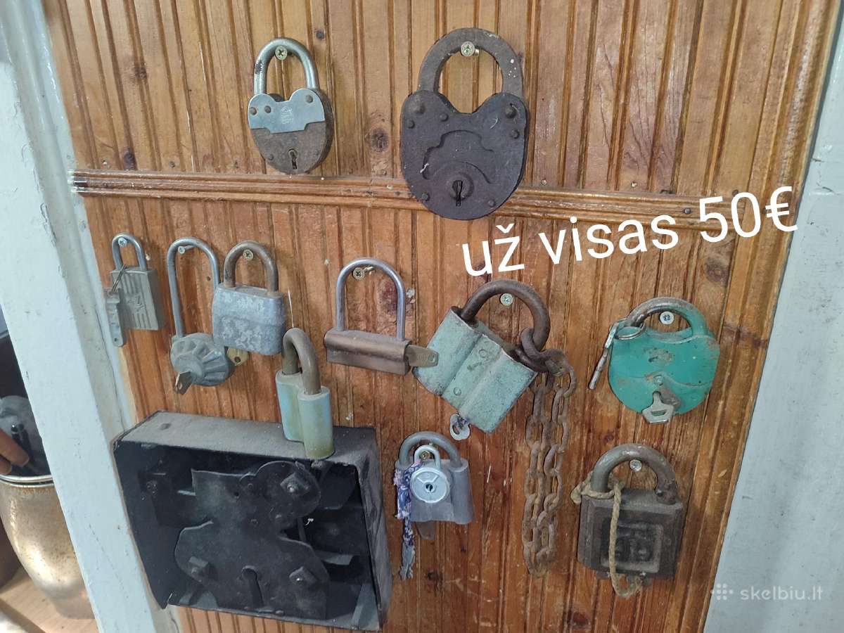Senos spynos