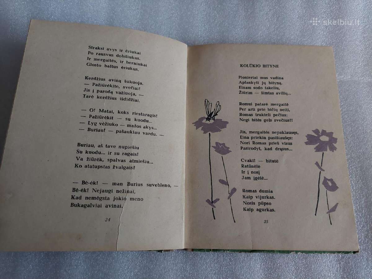 Pionierių palapinės - nuotraukos Nr. 4