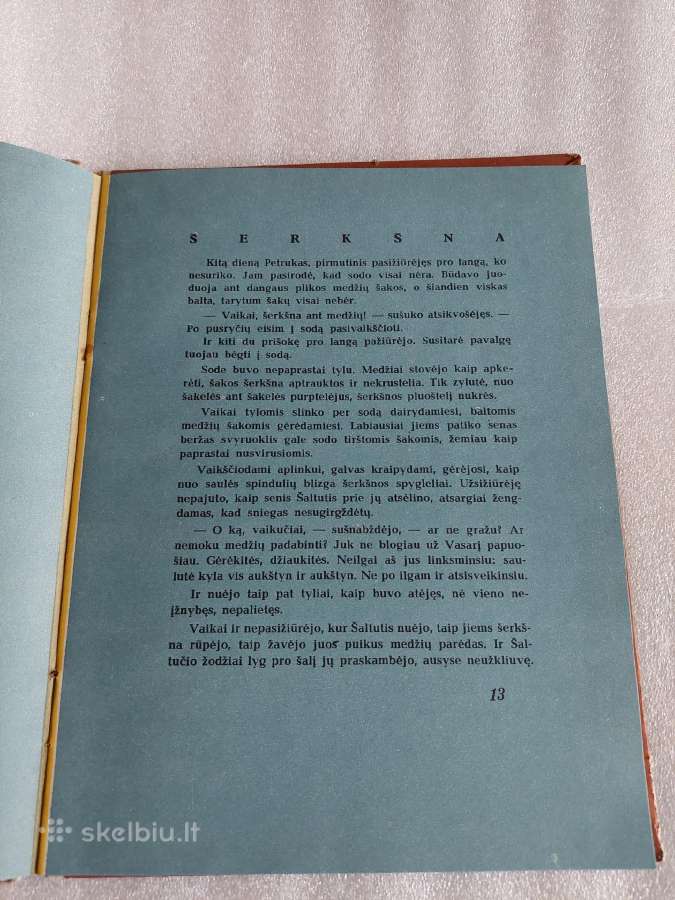 Žiema ir vasara - nuotraukos Nr. 4