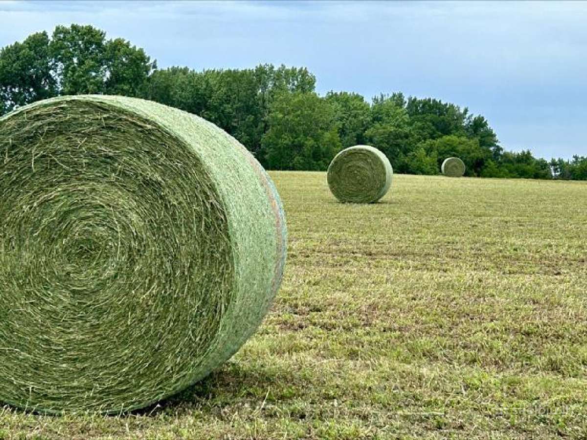 Šieno, šienainio presavimas, šienavimo paslaugos