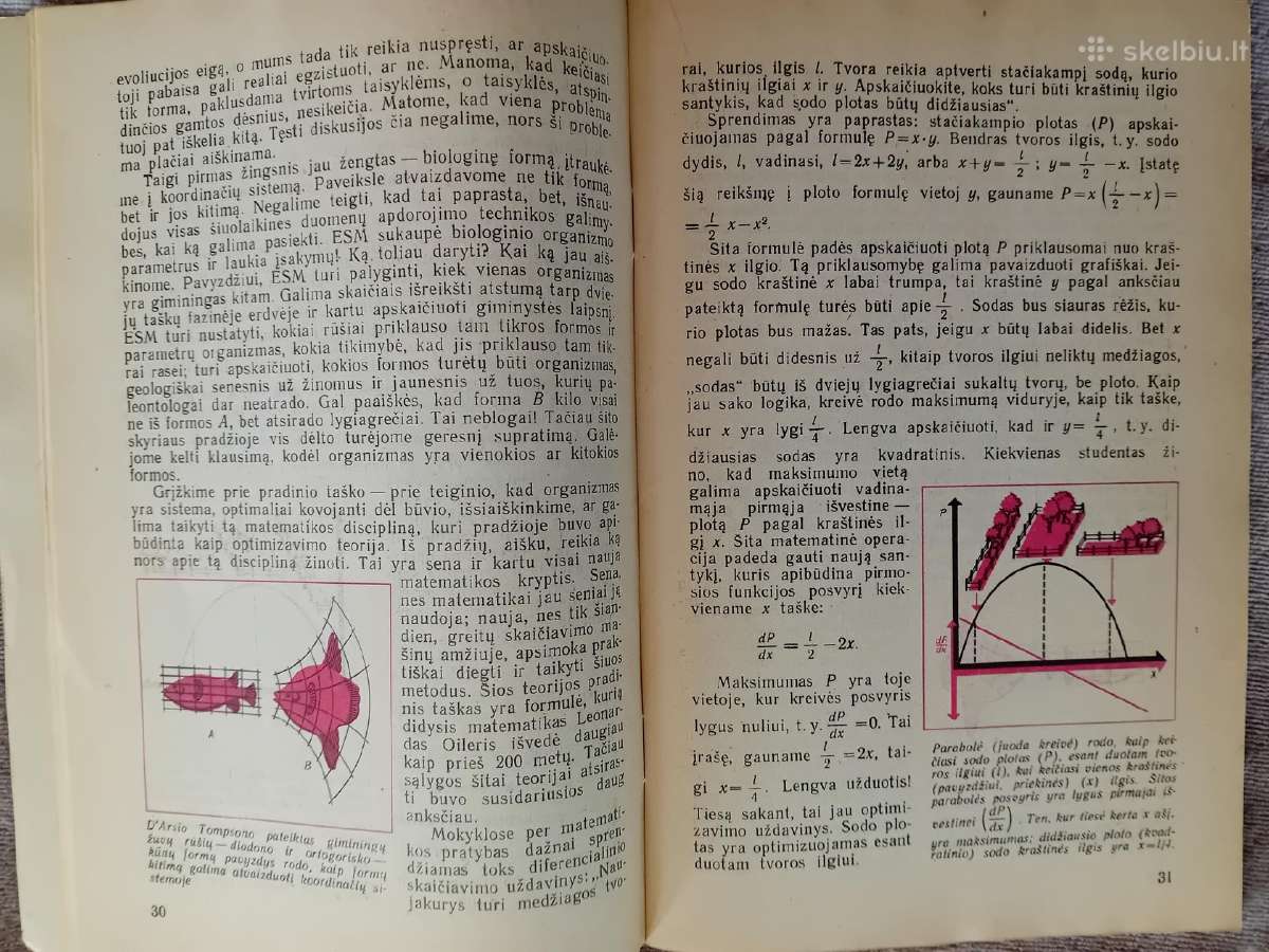 Knygos ir vadovėliai apie biologiją ir zoologiją - nuotraukos Nr. 3